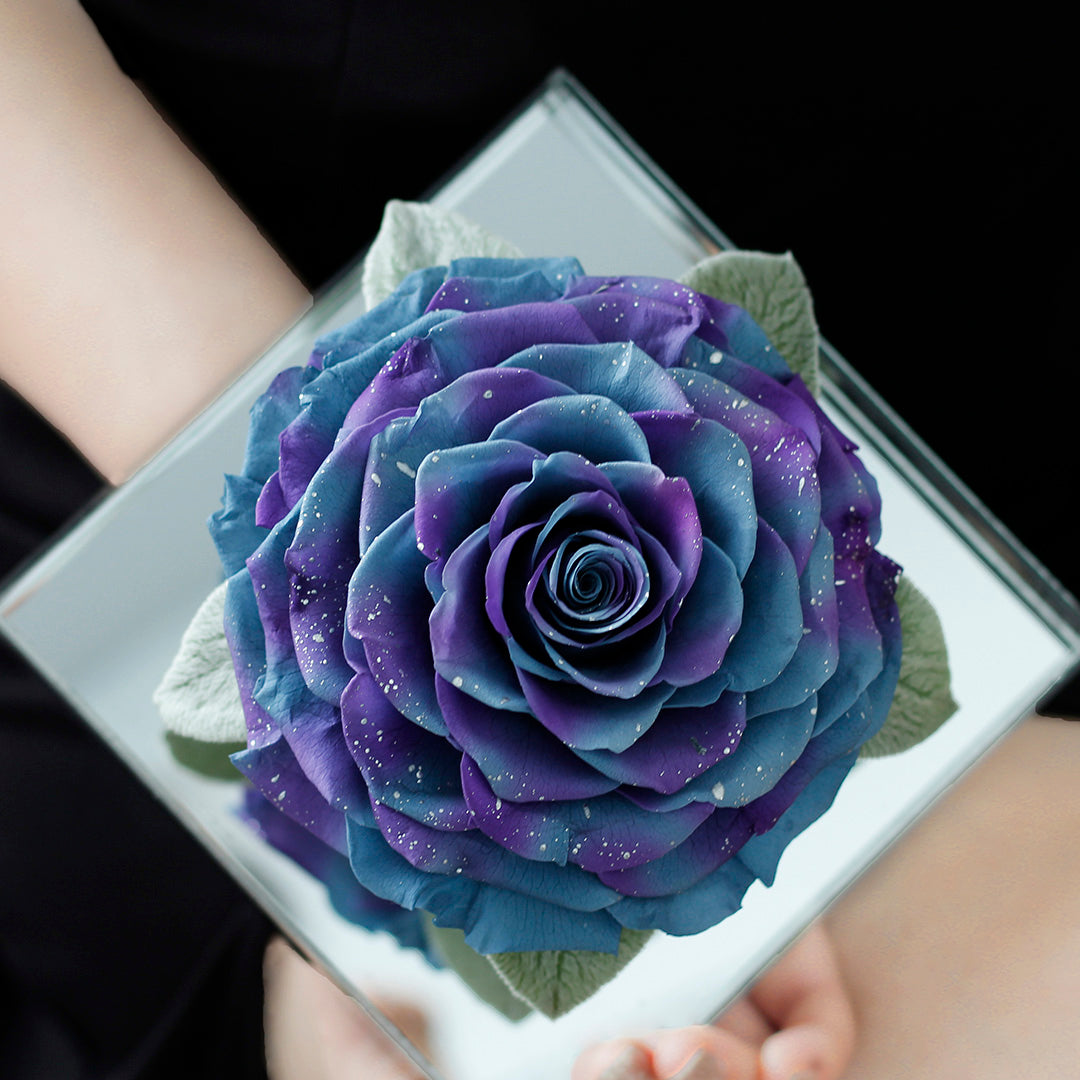 The Starlight Large Mirror Rose-Acrylic Promise