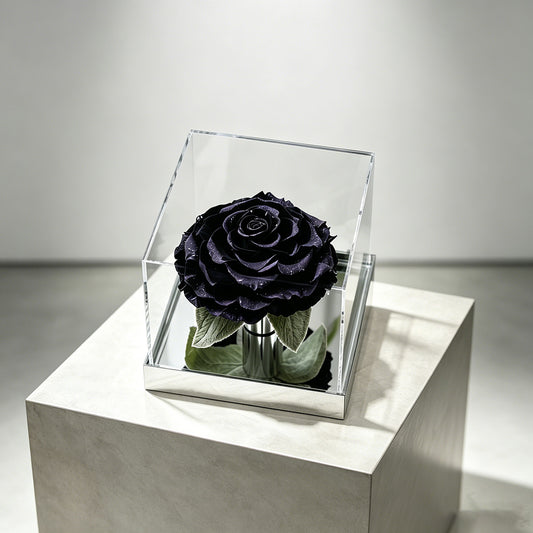The Starlight Large Mirror Rose-Acrylic Promise