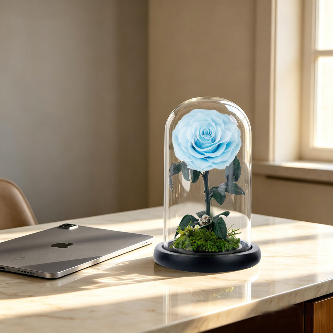 Real Preserved Rose with Moss Base
