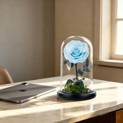 Real Preserved Rose with Moss Base