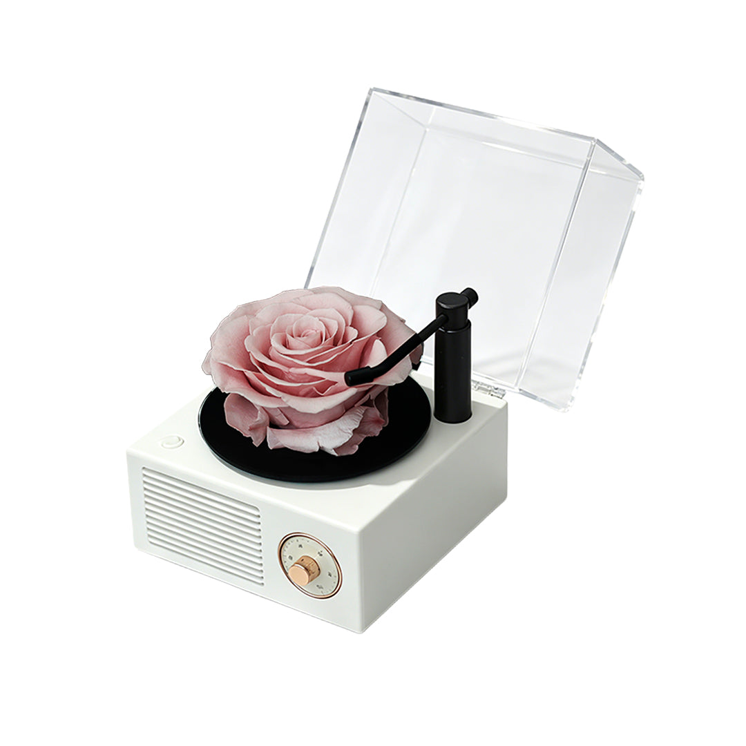 Eternal Flower Record Player USB Bluetooth