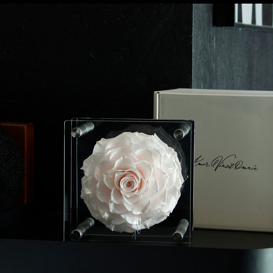 Luxury Acrylic Column Display Box