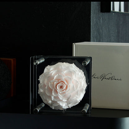 Luxury Acrylic Column Display Box