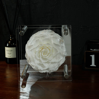 Luxury Acrylic Column Display Box