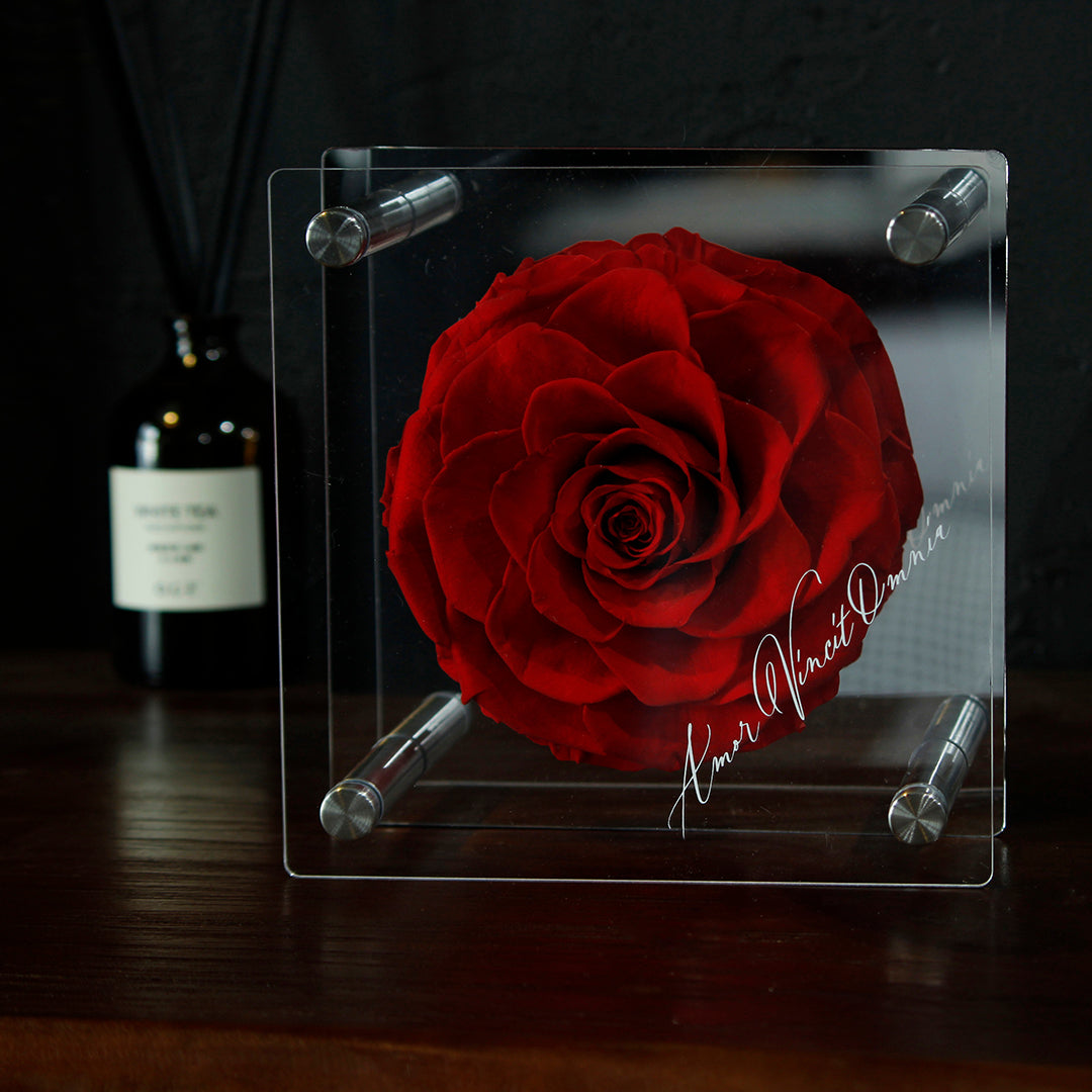 Luxury Acrylic Column Display Box