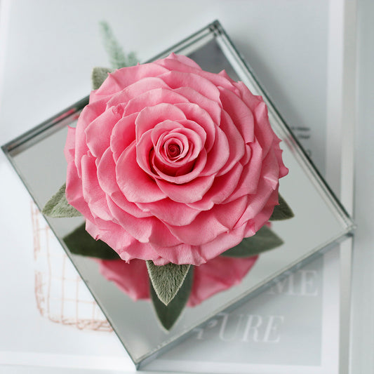 The Single Large Mirror Rose-Acrylic Promise