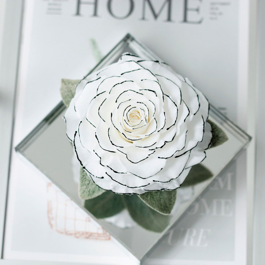 The Starlight Large Mirror Rose-Acrylic Promise