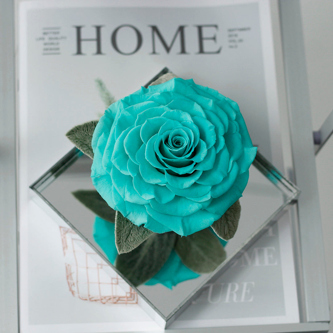 The Single Large Mirror Rose-Acrylic Promise