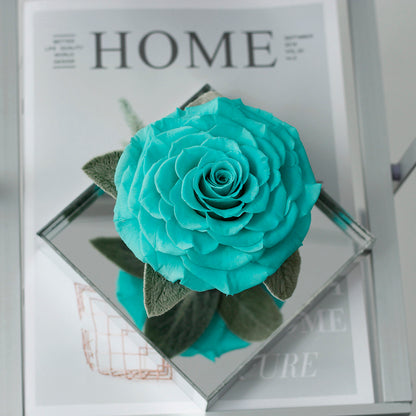 The Single Large Mirror Rose-Acrylic Promise