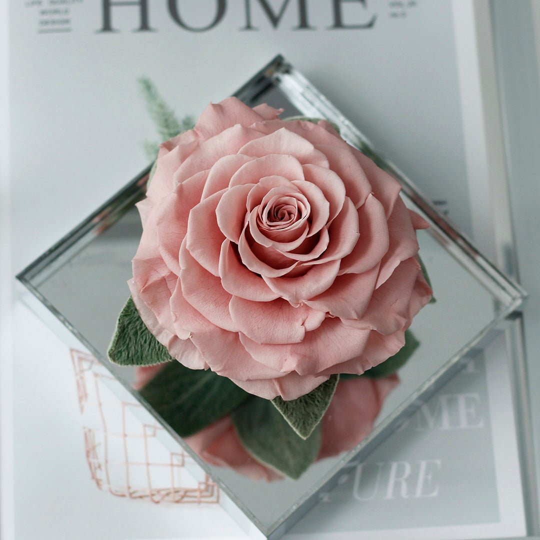 The Single Large Mirror Rose-Acrylic Promise