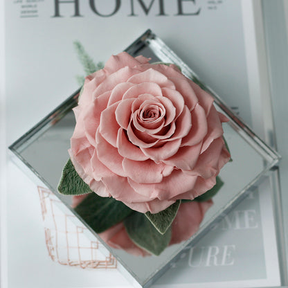 The Single Large Mirror Rose-Acrylic Promise