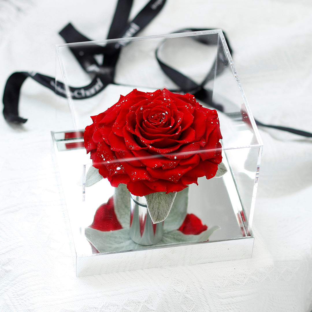The Starlight Large Mirror Rose-Acrylic Promise