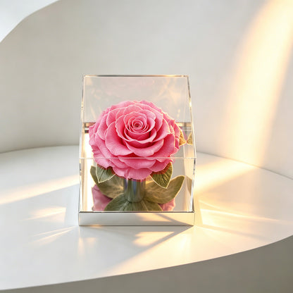 The Single Large Mirror Rose-Acrylic Promise