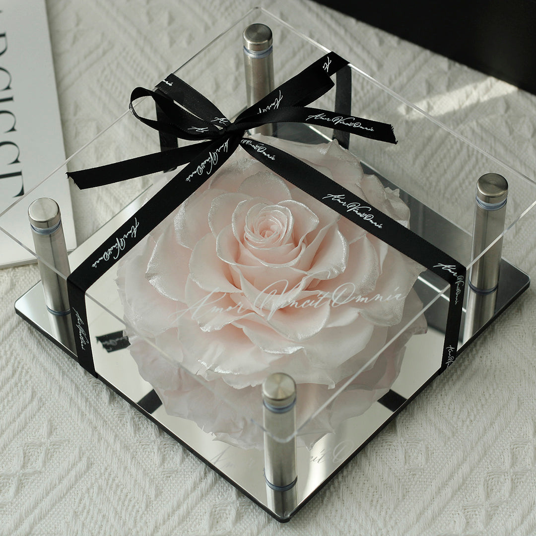 Luxury Acrylic Column Display Box