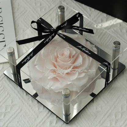 Luxury Acrylic Column Display Box