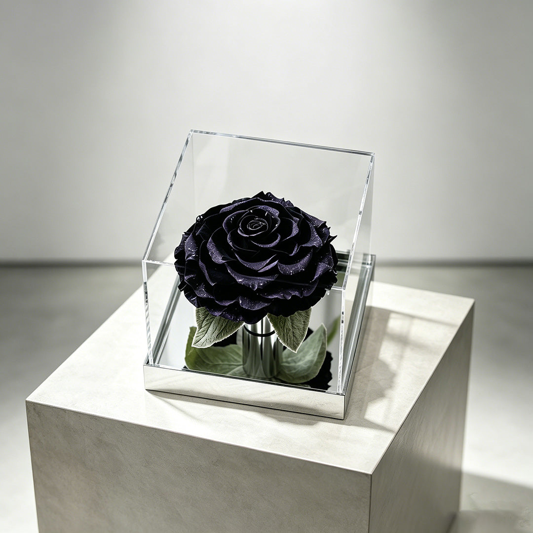 The Starlight Large Mirror Rose-Acrylic Promise