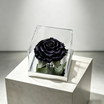 The Starlight Large Mirror Rose-Acrylic Promise