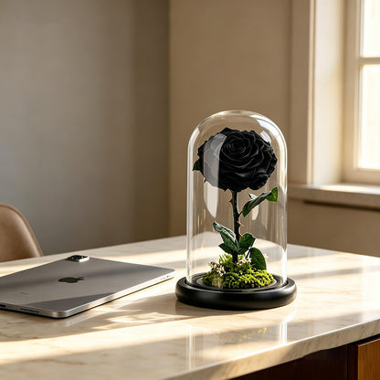 Real Preserved Rose with Moss Base