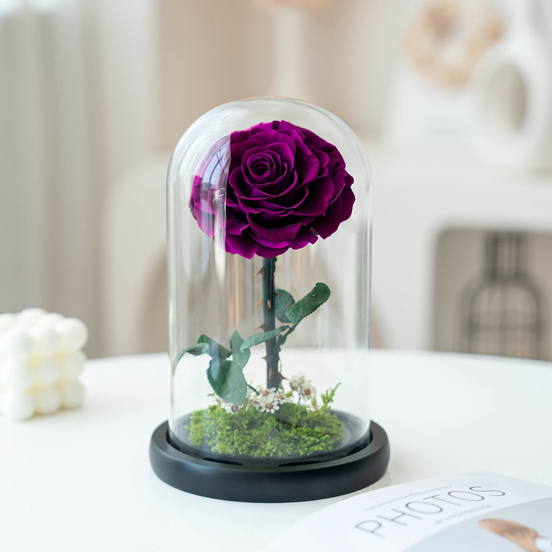 Real Preserved Rose with Moss Base