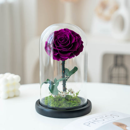 Real Preserved Rose with Moss Base