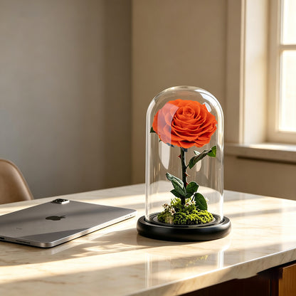 Real Preserved Rose with Moss Base
