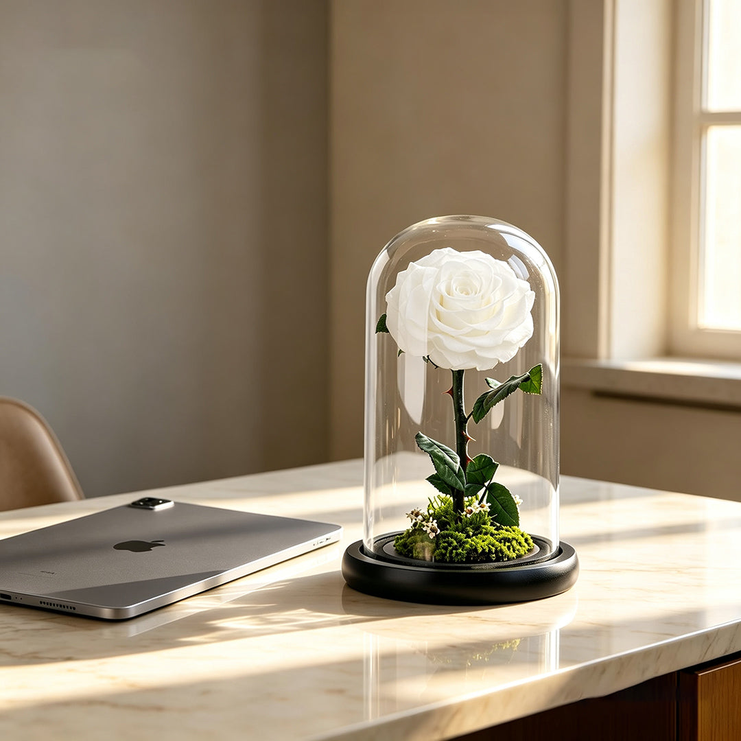 Real Preserved Rose with Moss Base