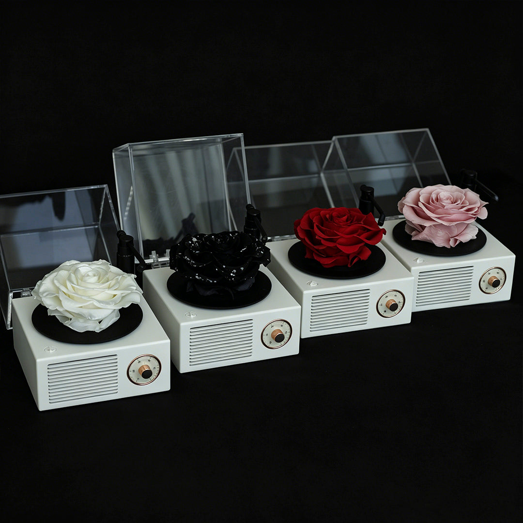 Eternal Flower Record Player USB Bluetooth