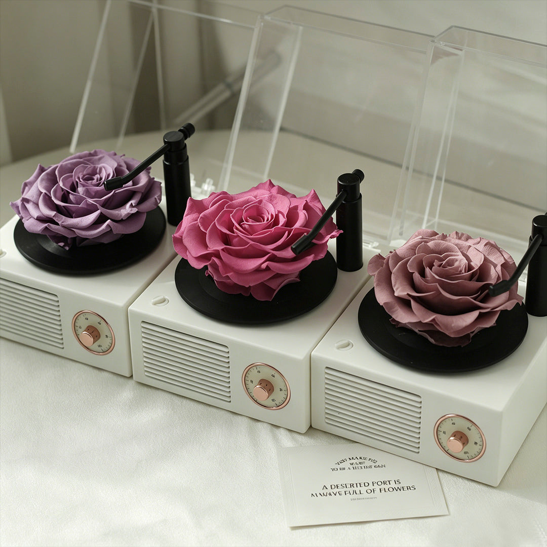 Eternal Flower Record Player USB Bluetooth