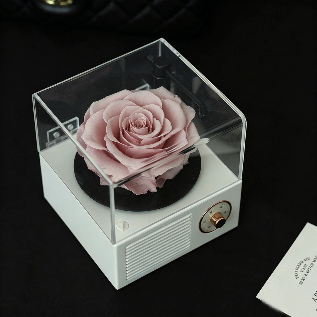 Eternal Flower Record Player USB Bluetooth