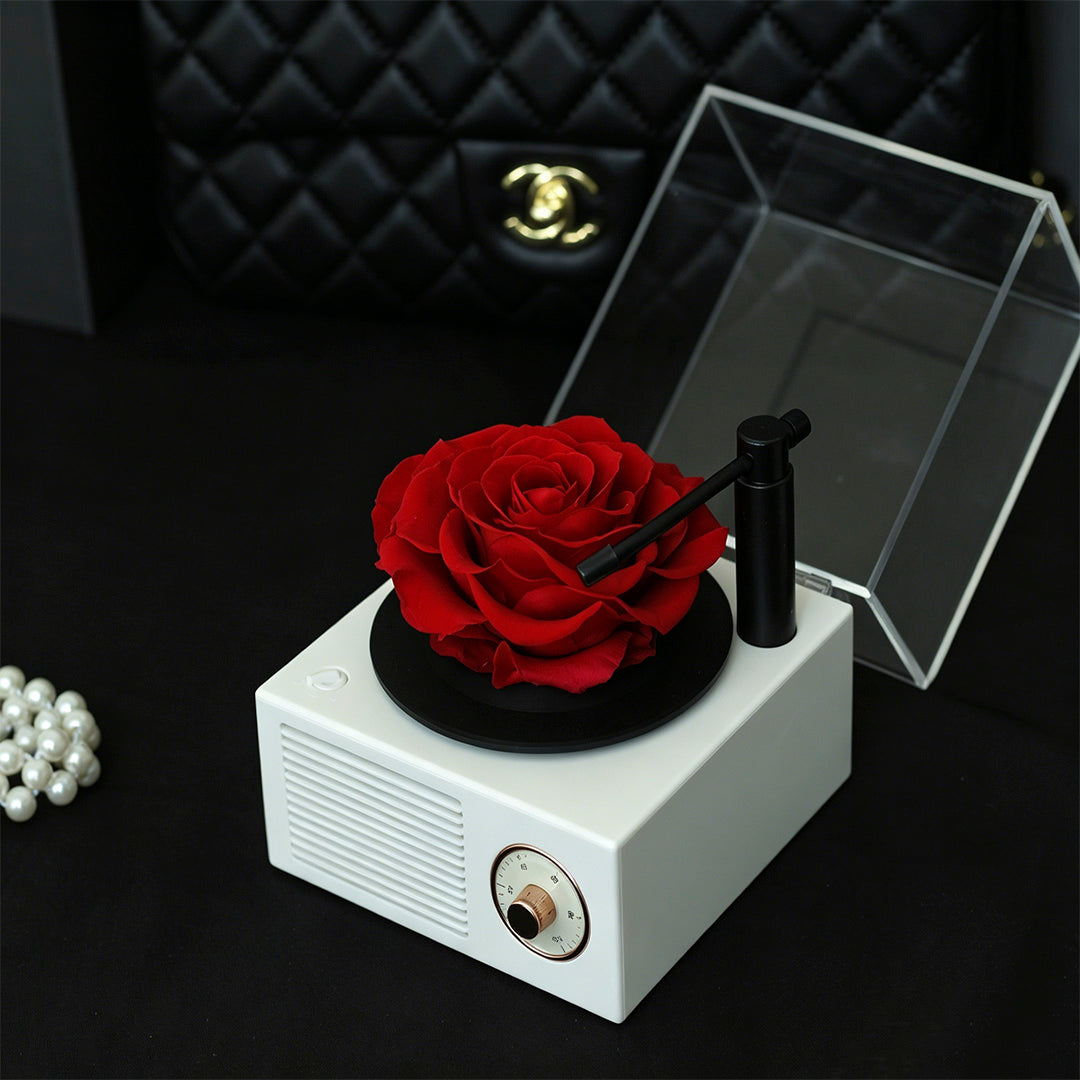 Eternal Flower Record Player USB Bluetooth
