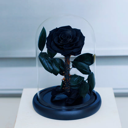 Preserved Rose in Glass Dome with Fallen Petals