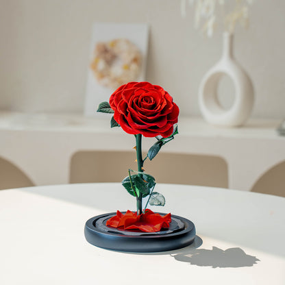 Preserved Rose in Glass Dome with Fallen Petals