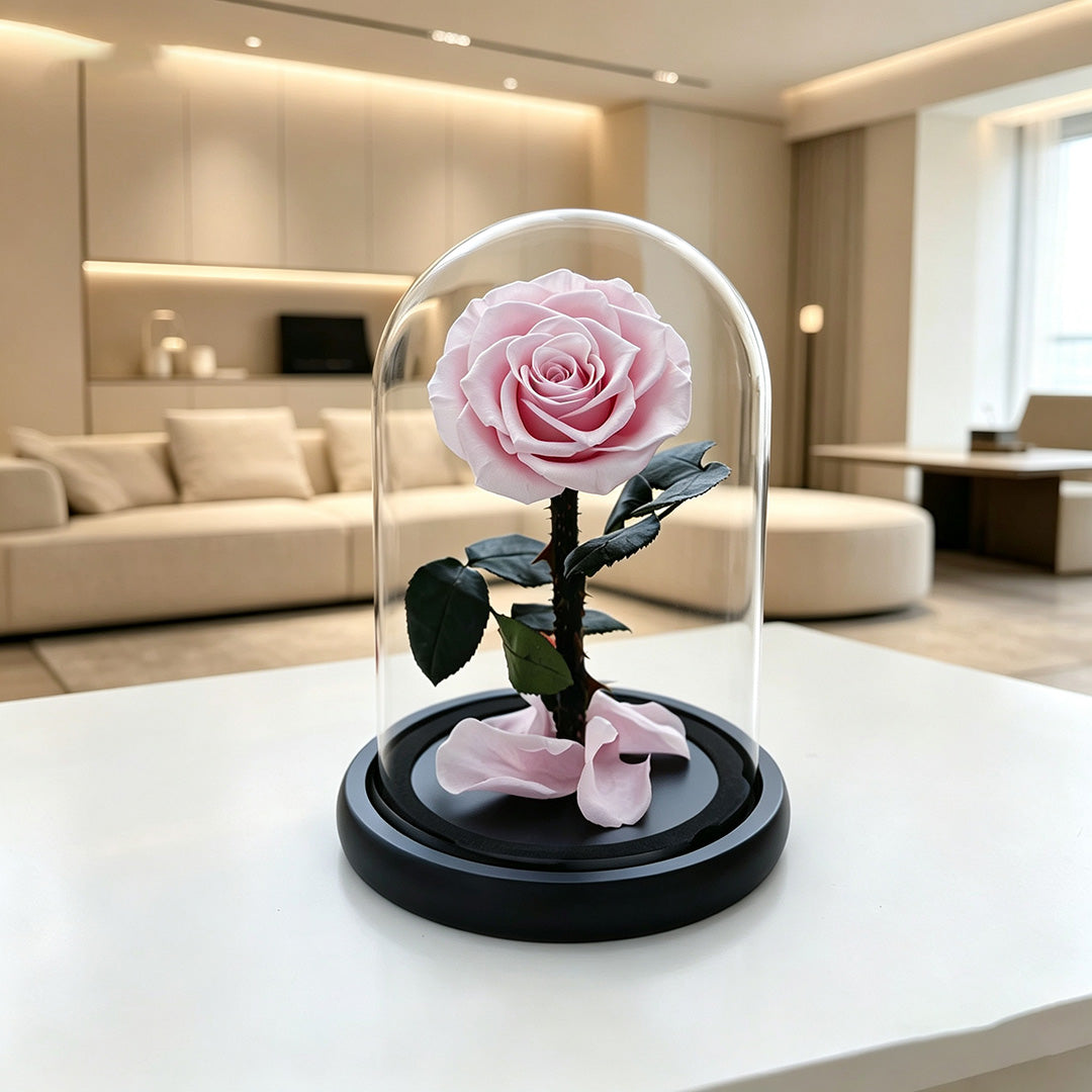 Preserved Rose in Glass Dome with Fallen Petals