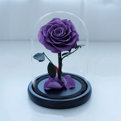 Preserved Rose in Glass Dome with Fallen Petals